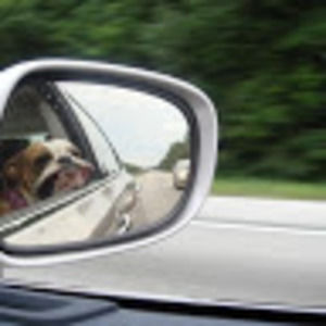 Meet your Posher, Lorraine